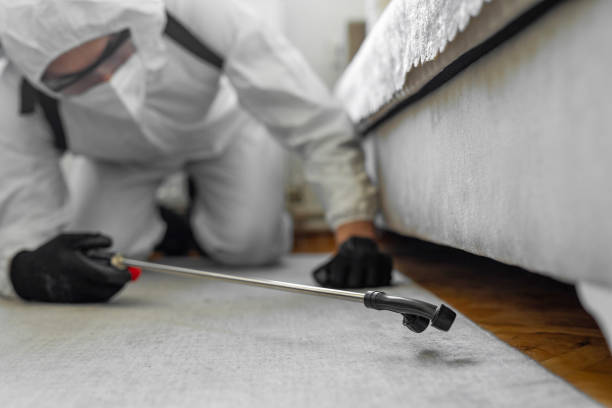Professional Mosquito Control technician working in Daniel, UT