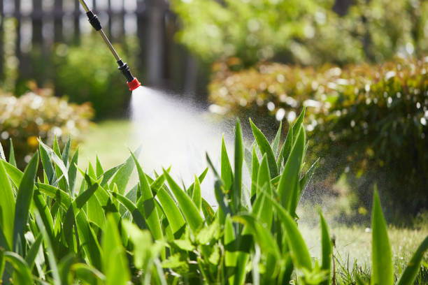 24/7 Emergency Mosquito Control experts in Daniel, UT