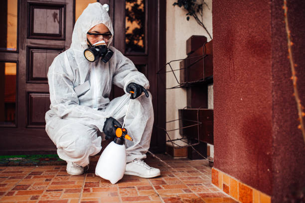 Reliable Mosquito Control contractor in Daniel, UT by Nex Pest Control